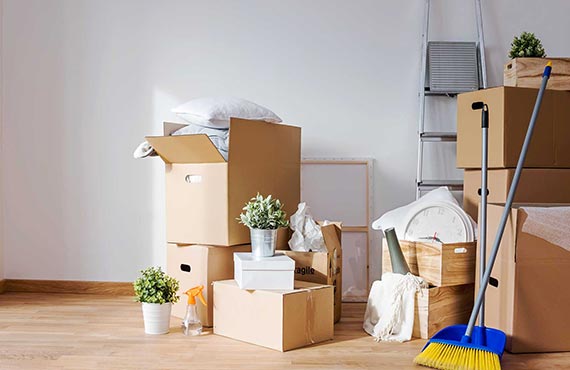 moveinmoveout Image